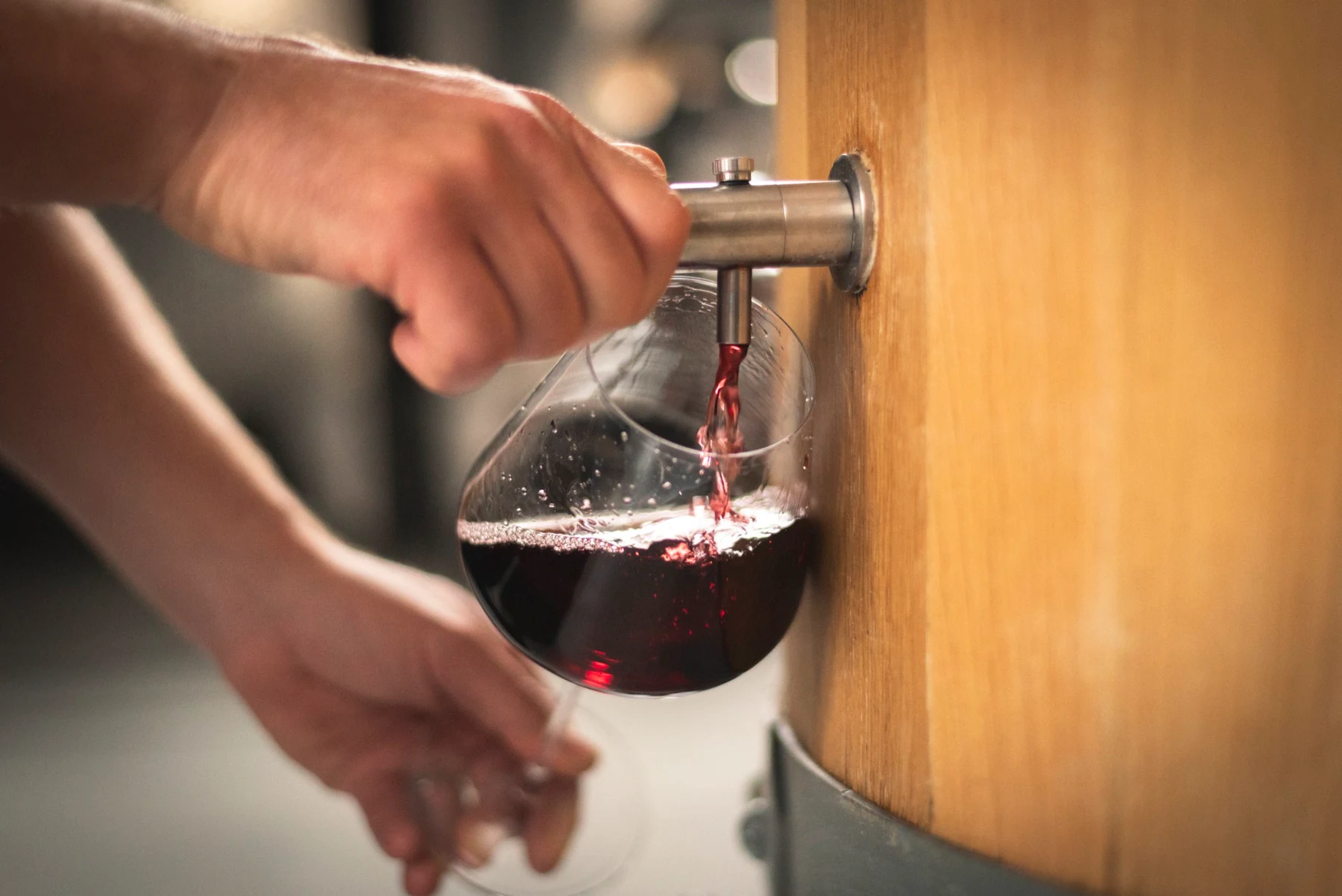 Service du vin