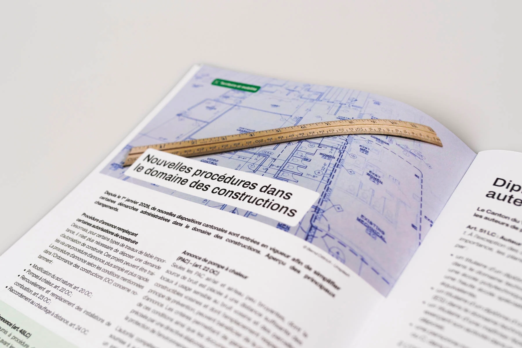 Article type